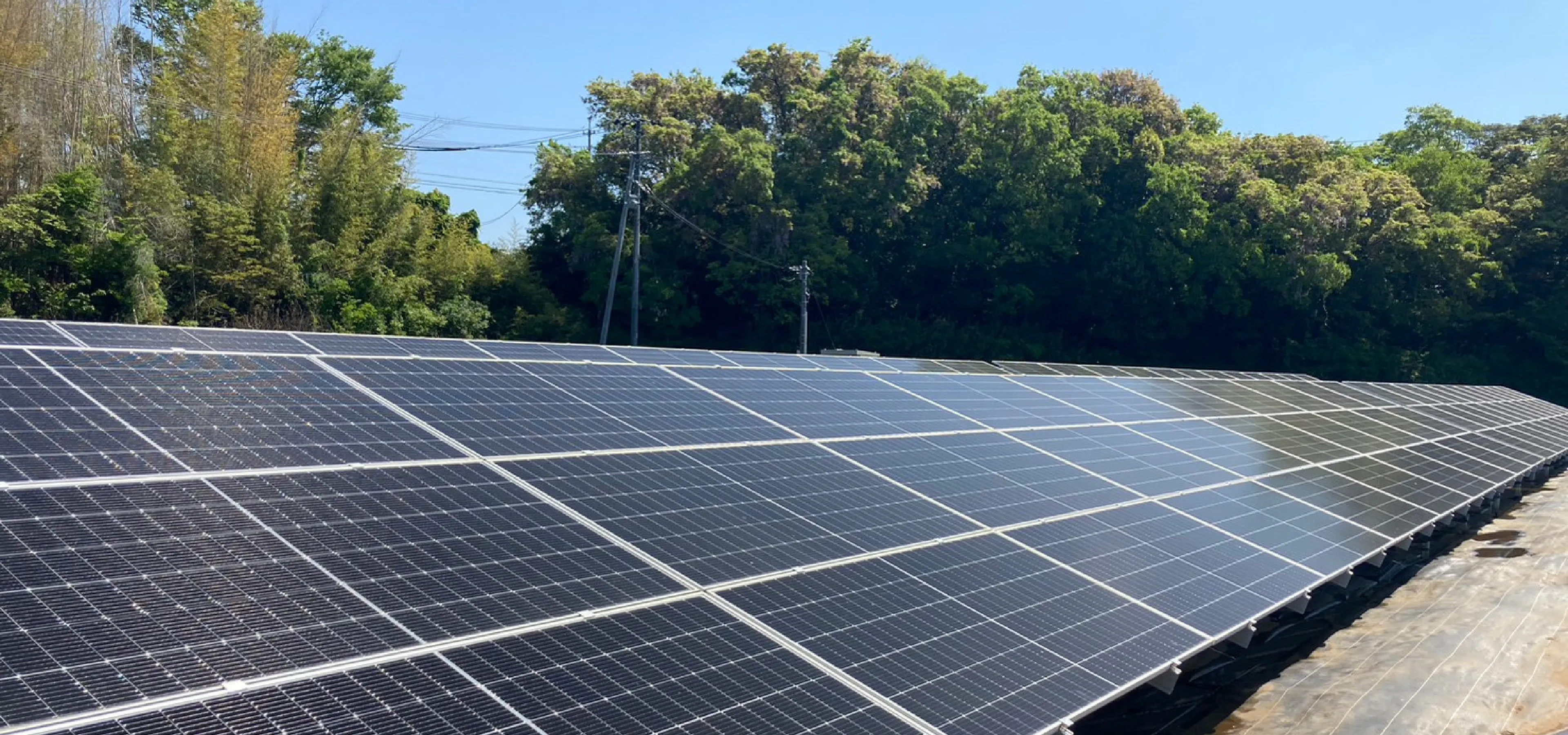 青空の下、広範囲に設置された太陽光発電パネルが森の近くで発電している様子。